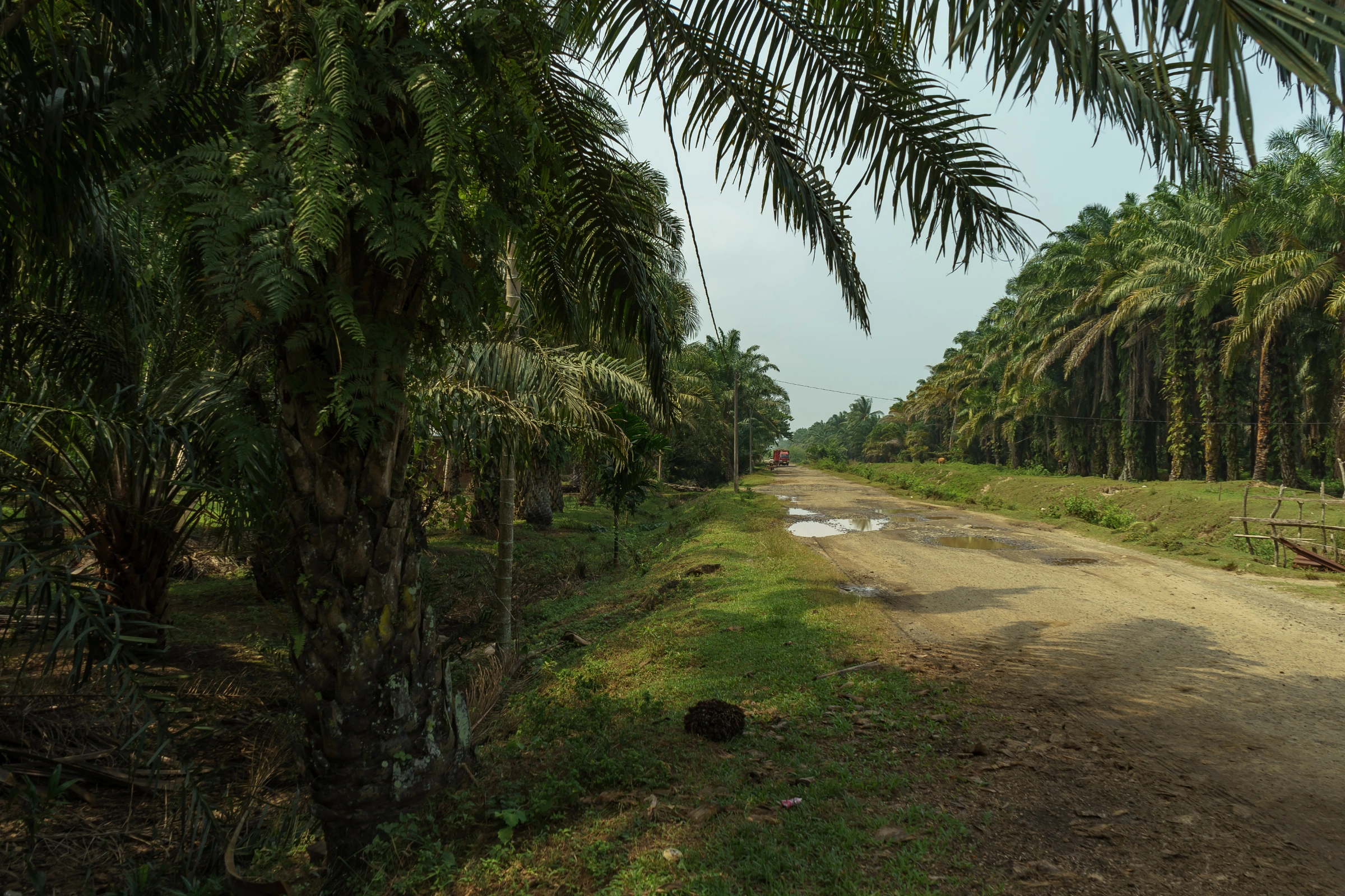 Bengkulu,_Sumatra[1].webp